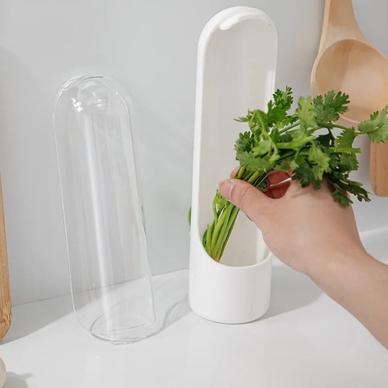 MyFreshFridge - Boite de conservation fraicheur
