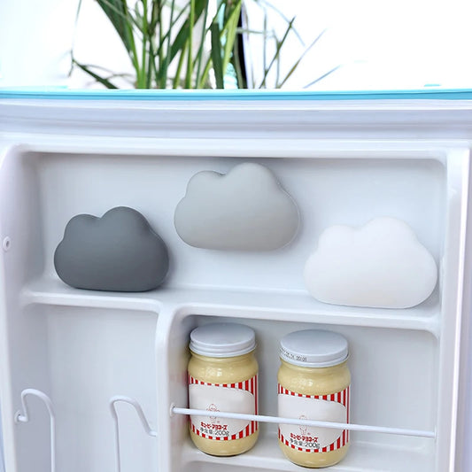 MyFreshFridge - Le désodorisant 100% Naturel pour votre réfrigérateur